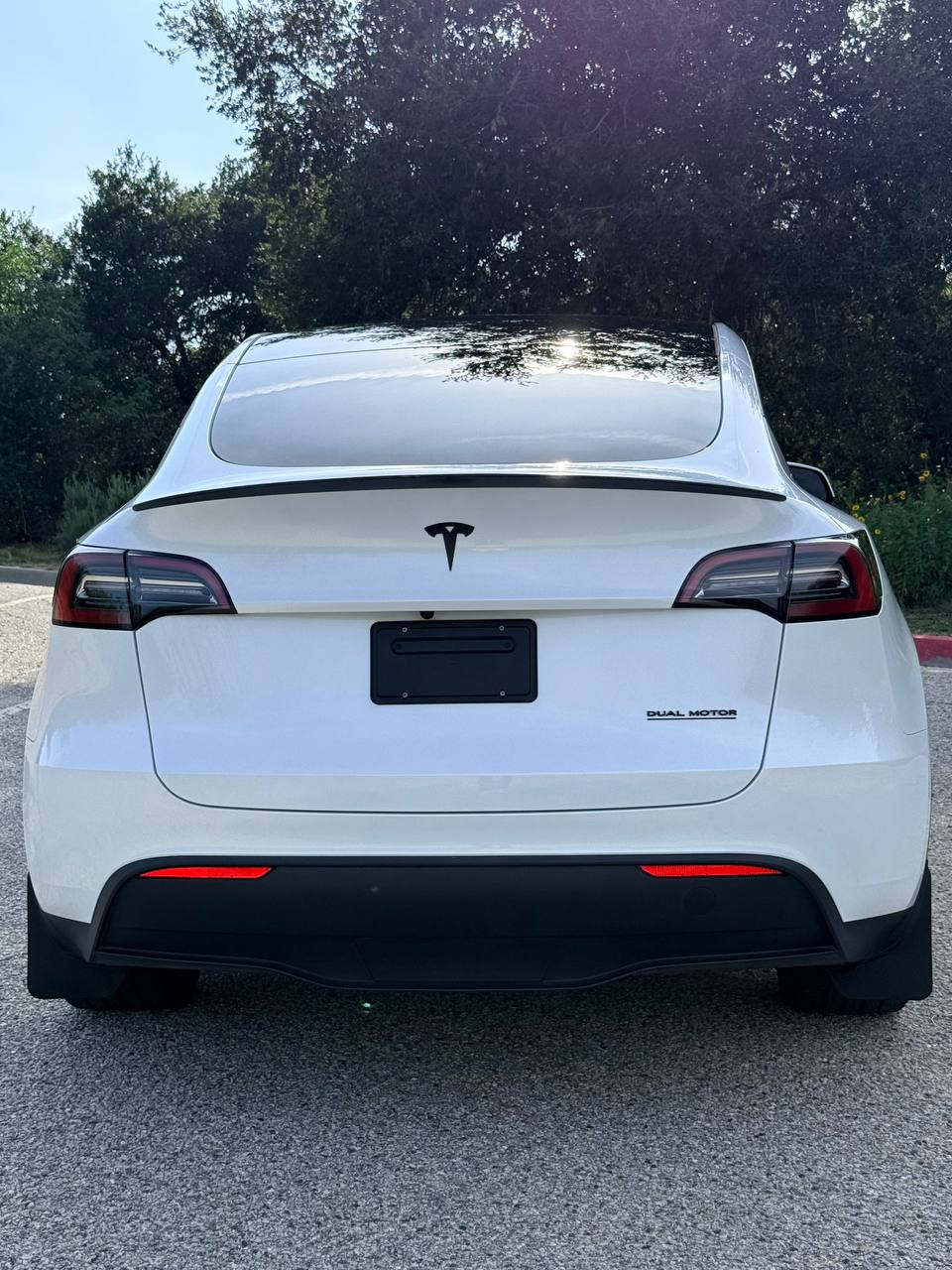 Tesla Model Y DM LR 2023  Фото №6