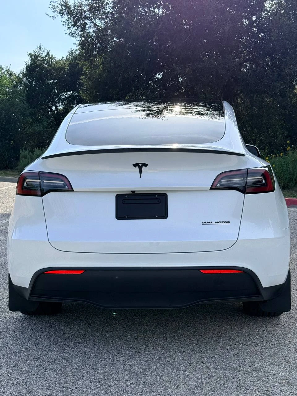 Tesla Model Y DM LR 2023  Фото №6