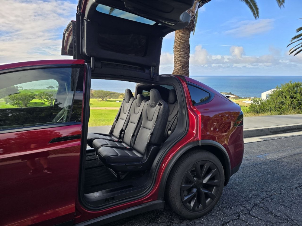 Tesla Model X  2025  Фото №19
